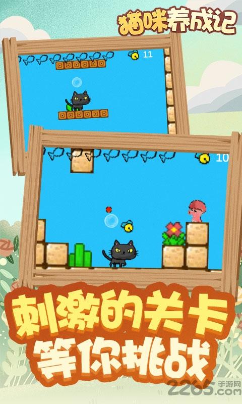 猫咪养成记赚钱游戏下载,猫咪养成记,猫咪游戏,养成游戏