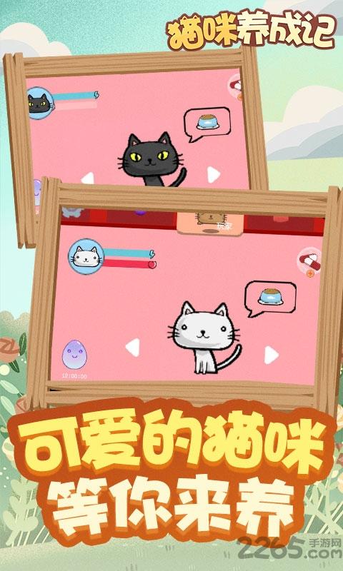 猫咪养成记赚钱游戏下载,猫咪养成记,猫咪游戏,养成游戏