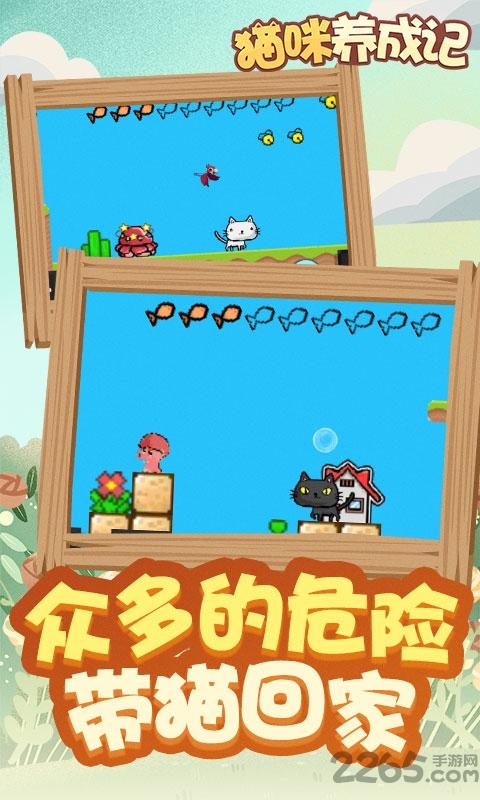 猫咪养成记赚钱游戏下载,猫咪养成记,猫咪游戏,养成游戏