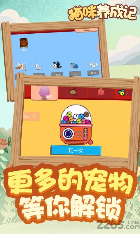 猫咪养成记赚钱游戏下载,猫咪养成记,猫咪游戏,养成游戏