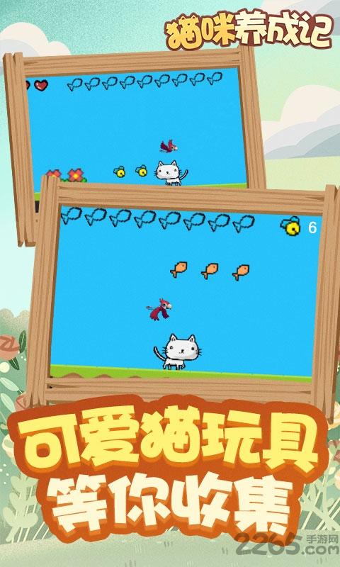 猫咪养成记赚钱游戏下载,猫咪养成记,猫咪游戏,养成游戏
